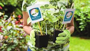obtenir-certification-plante-bleue